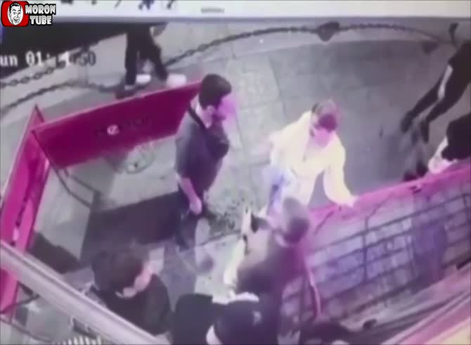 Video :The right stalker for an MMA champion - Instant Karma Videos